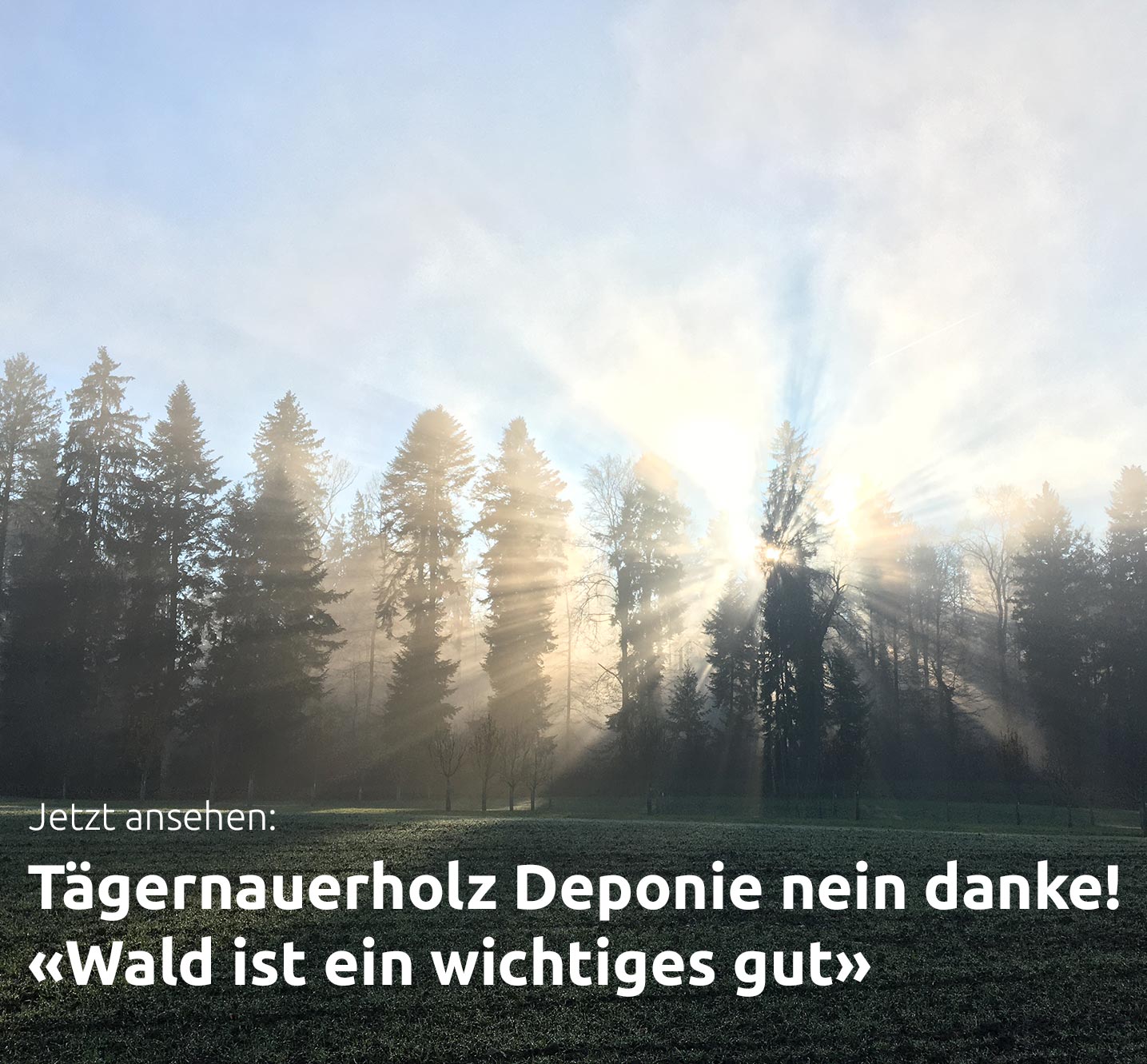 Daniel Wäfler setzt sich gegen die Deponie im Tägernauerholz ein